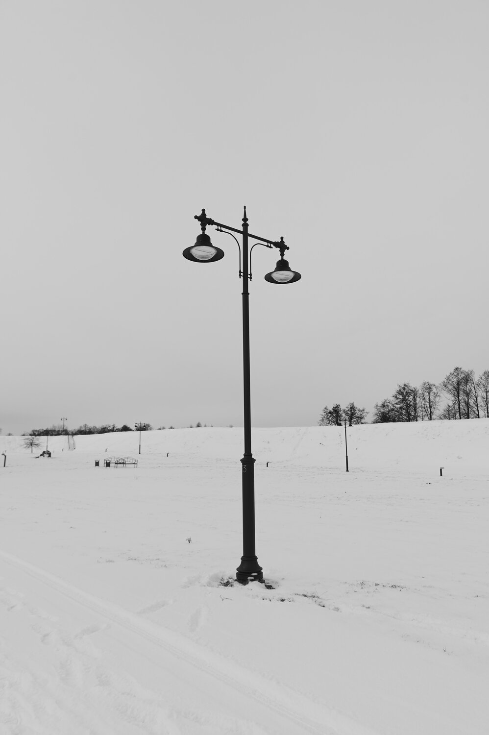 Photo #13270525