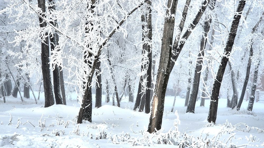 Photograph by Багурский Алексей
