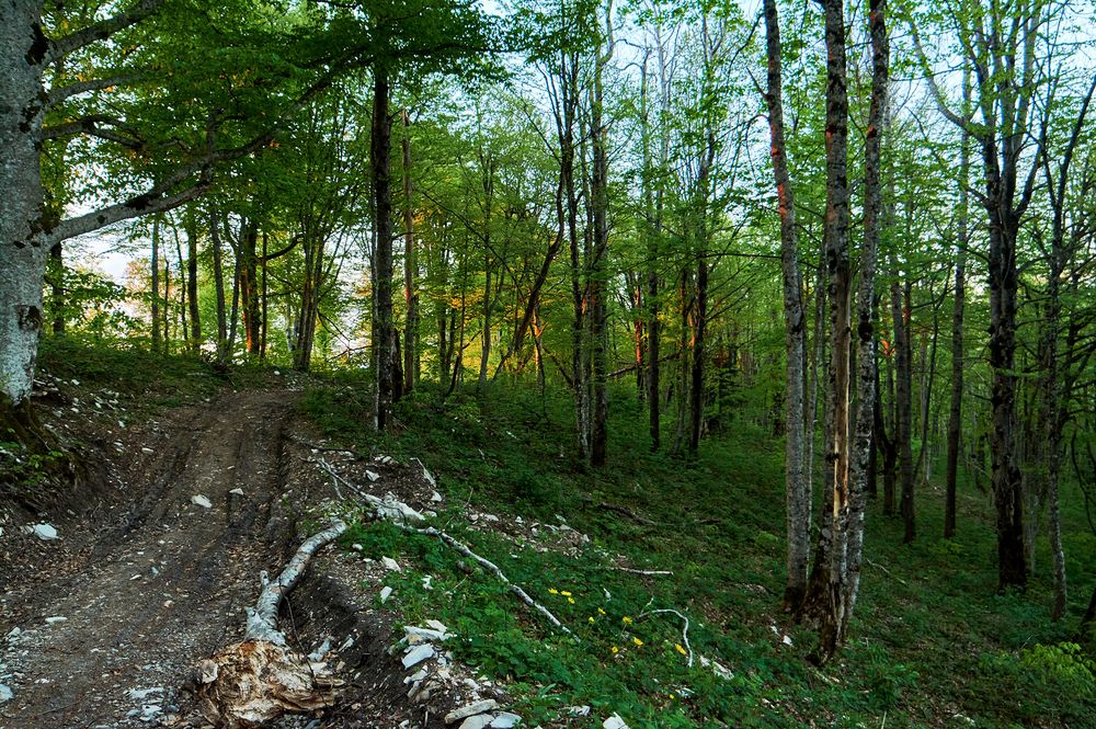 Photograph by Юрий Эйченко
