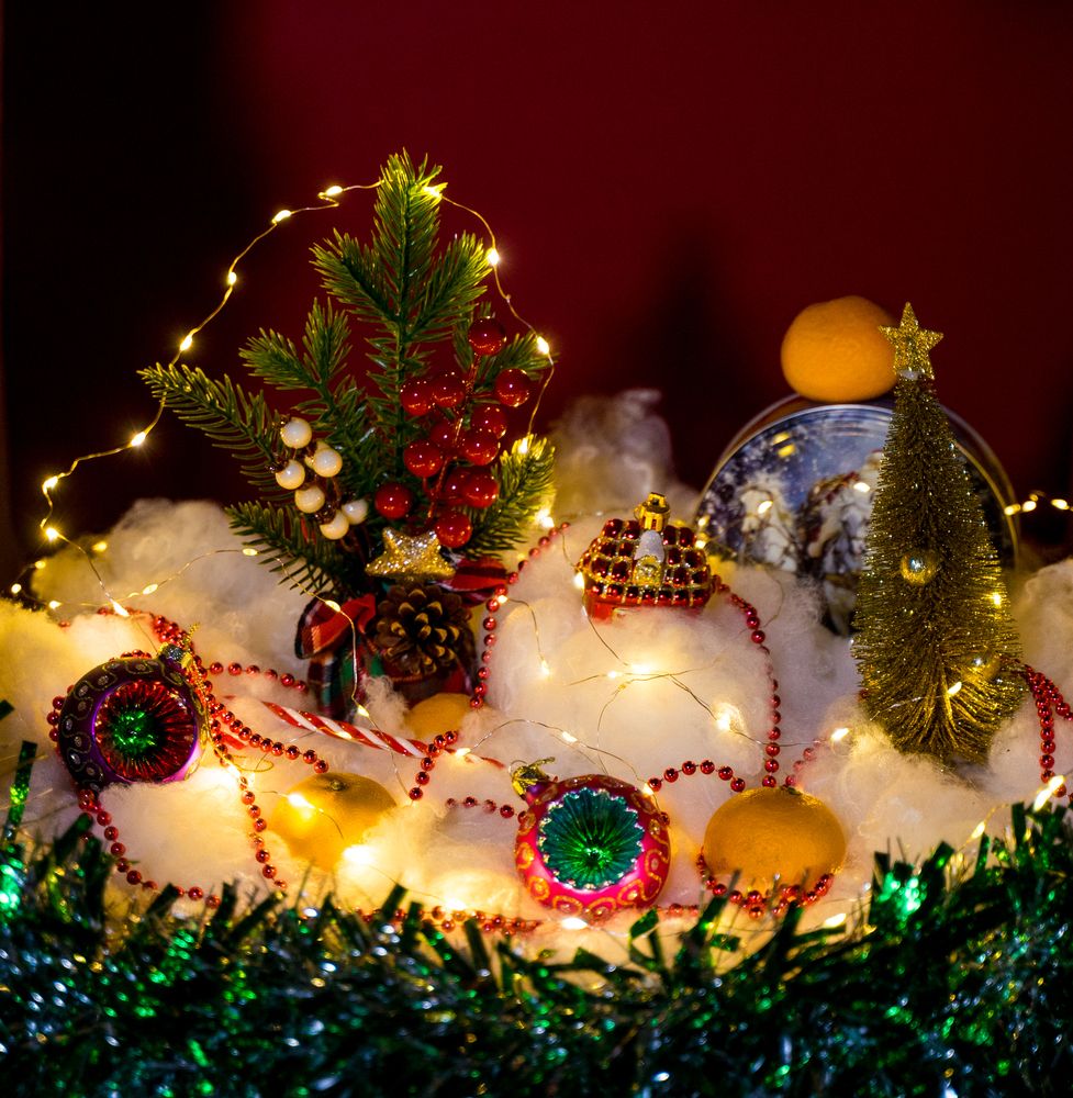 Фотография автора Василиса Новикова