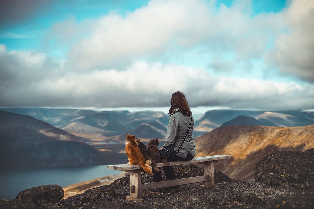 Photograph by Алина Долгова