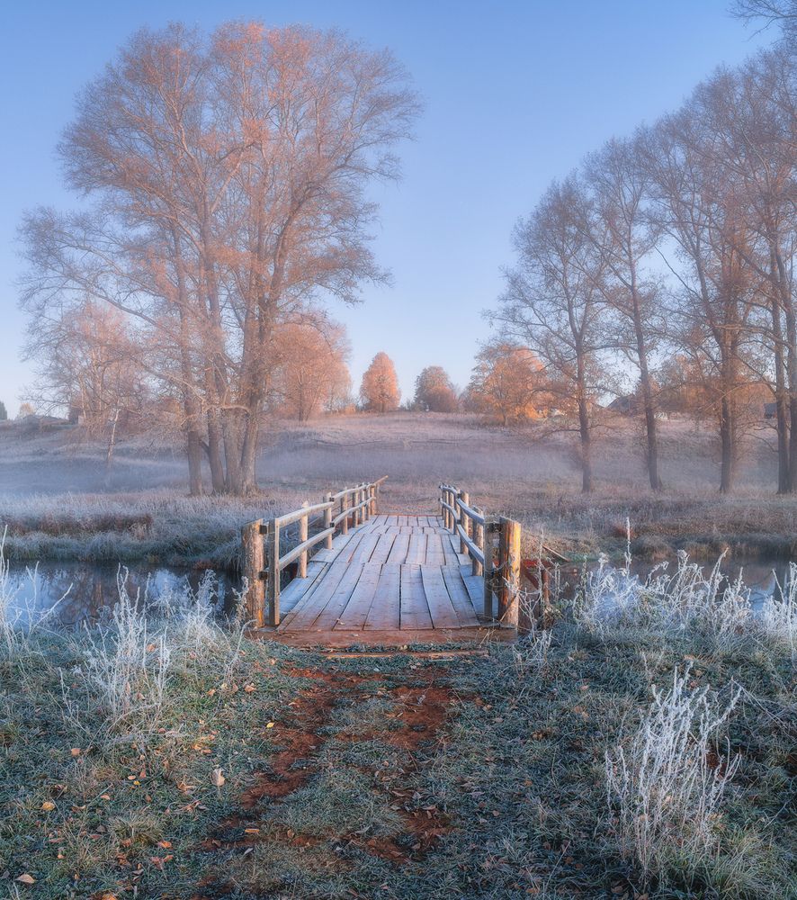 Photograph by Михаил Устюжанин