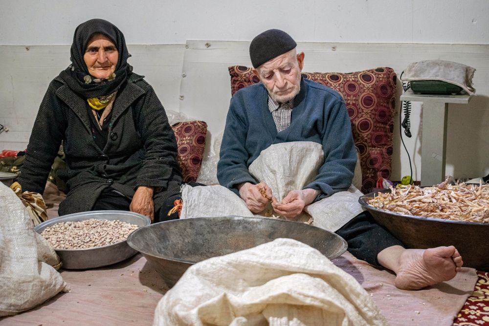 Photograph by pooya farhoodi