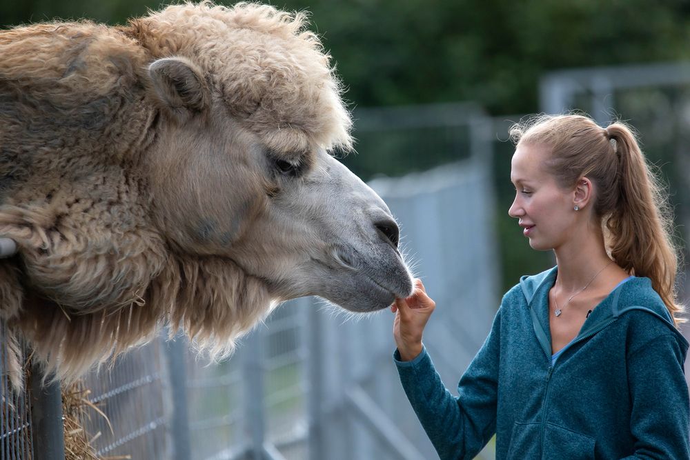 Photograph by Волынский Виктор