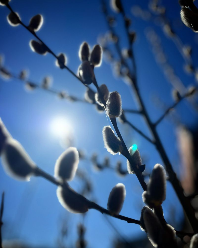 Photograph by Ольга Миронова