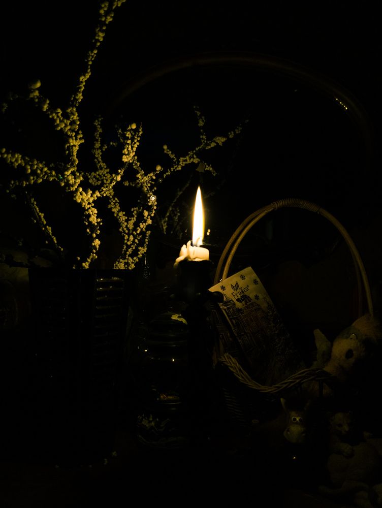 Photograph by Zagrebaeva Margarita
