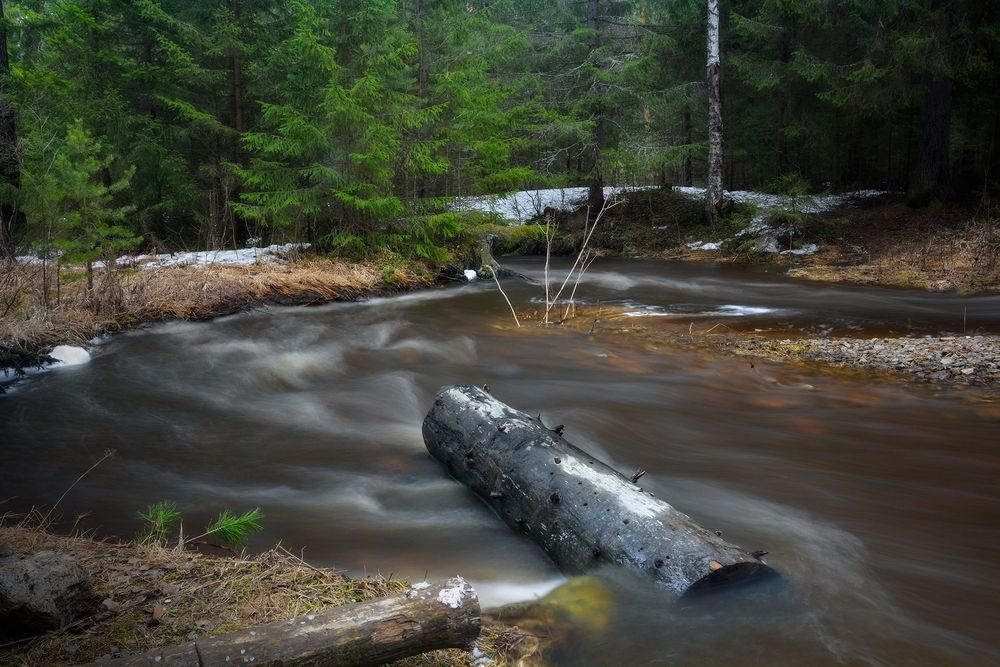 Photograph by Эд Голиков