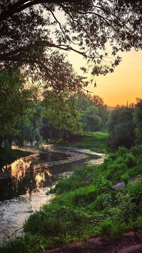 Photograph by Елена Процек