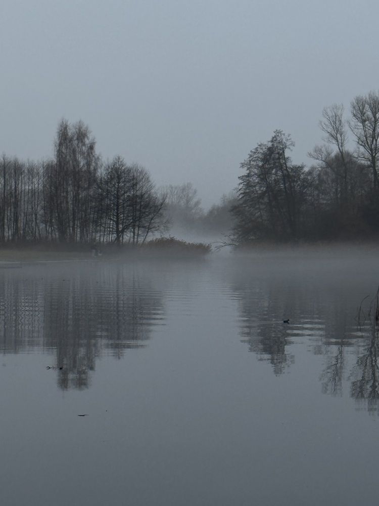 Photograph by Светлана Герасимук
