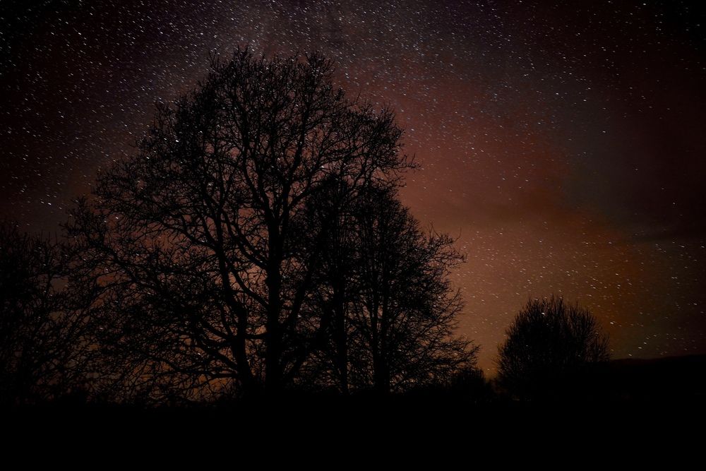 Photograph by наталья ионова