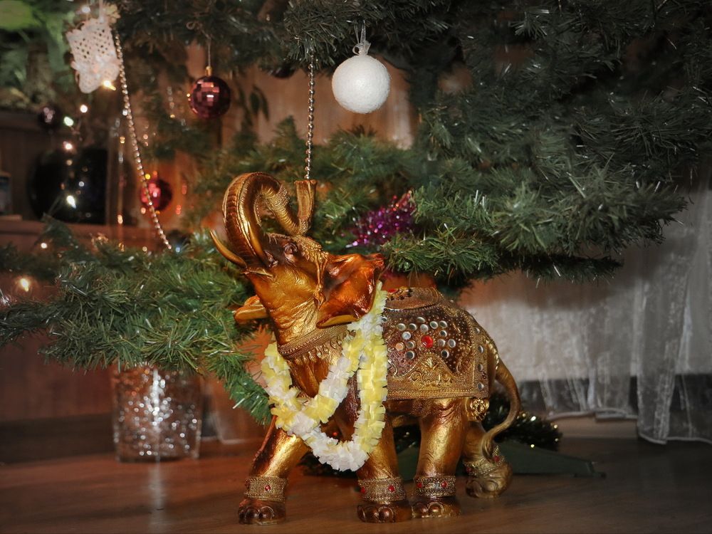 Фотография автора Анатолий Дауров