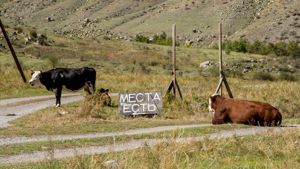 Фотография автора Владислав Калина