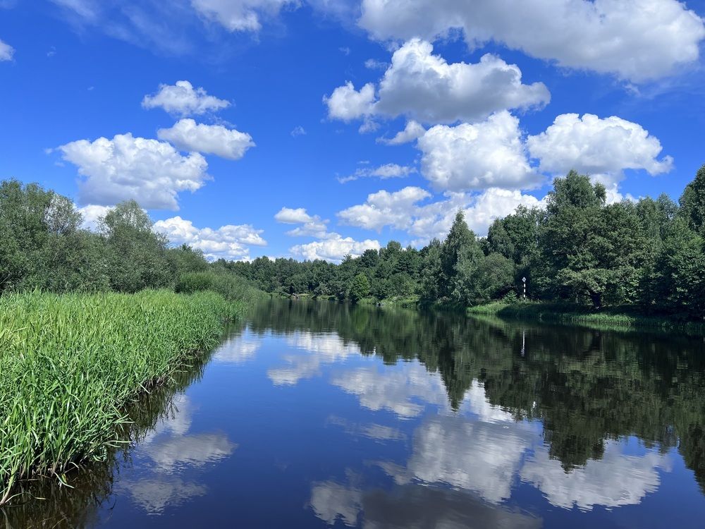 Фотография автора Екатерина Шумская