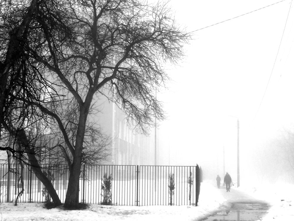 Photograph by Elena Stasuk