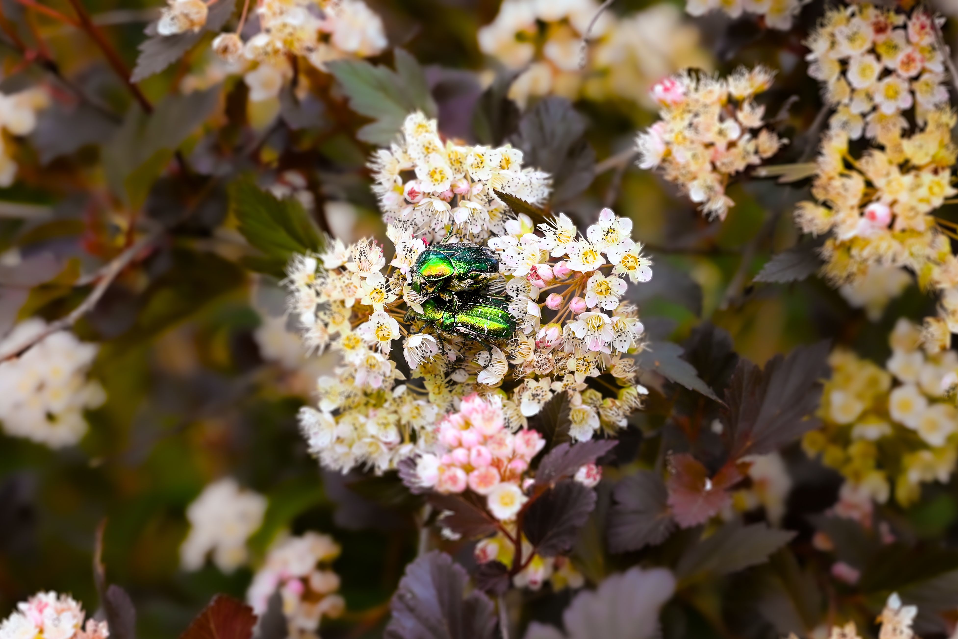 Photograph by Ольга Коршунова