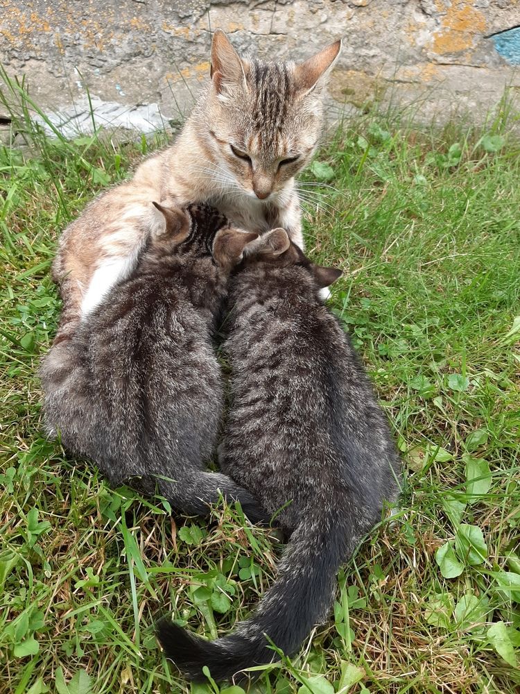Photograph by Владимир Владимирович