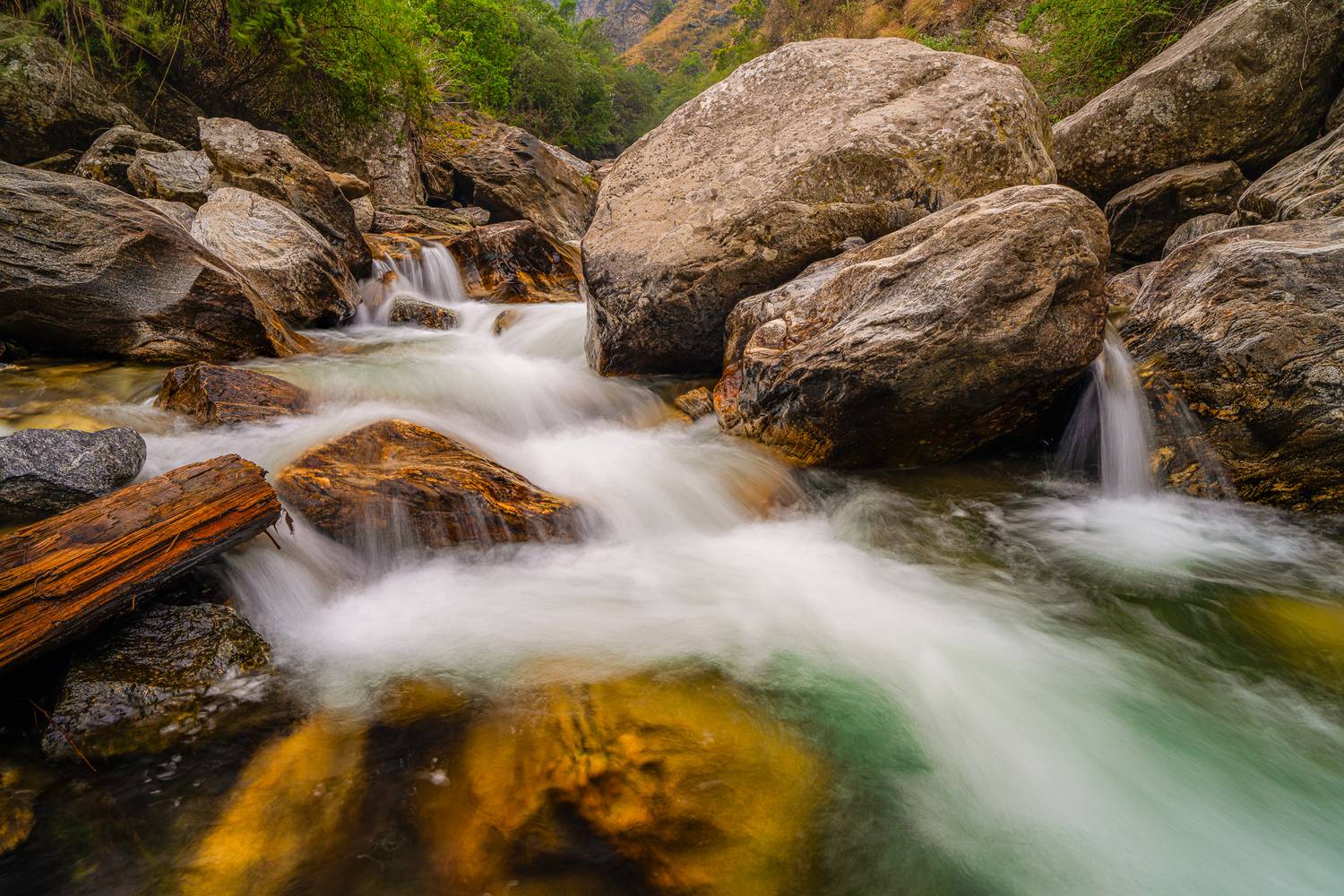 Фотография #13271341