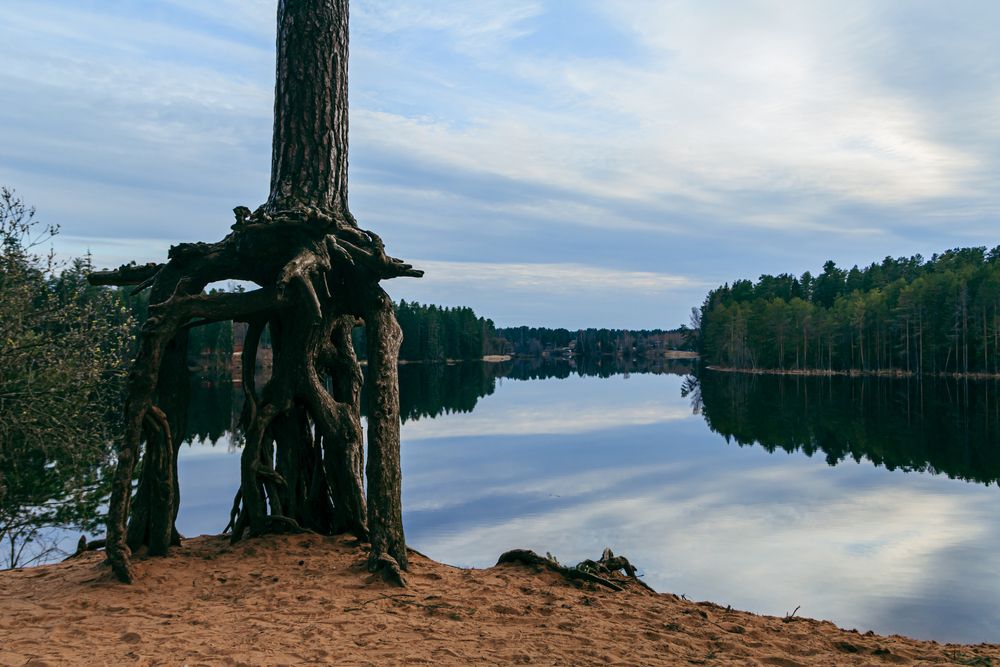 Photograph by Люсия Мирт