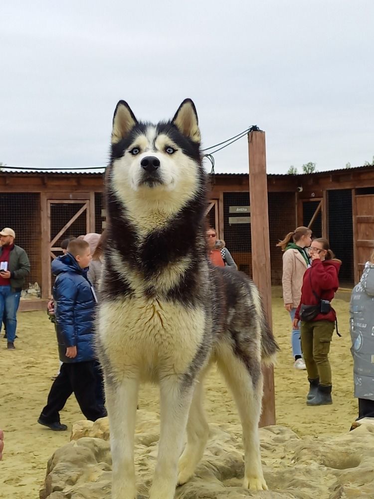 Photograph by Людмила Сотникова