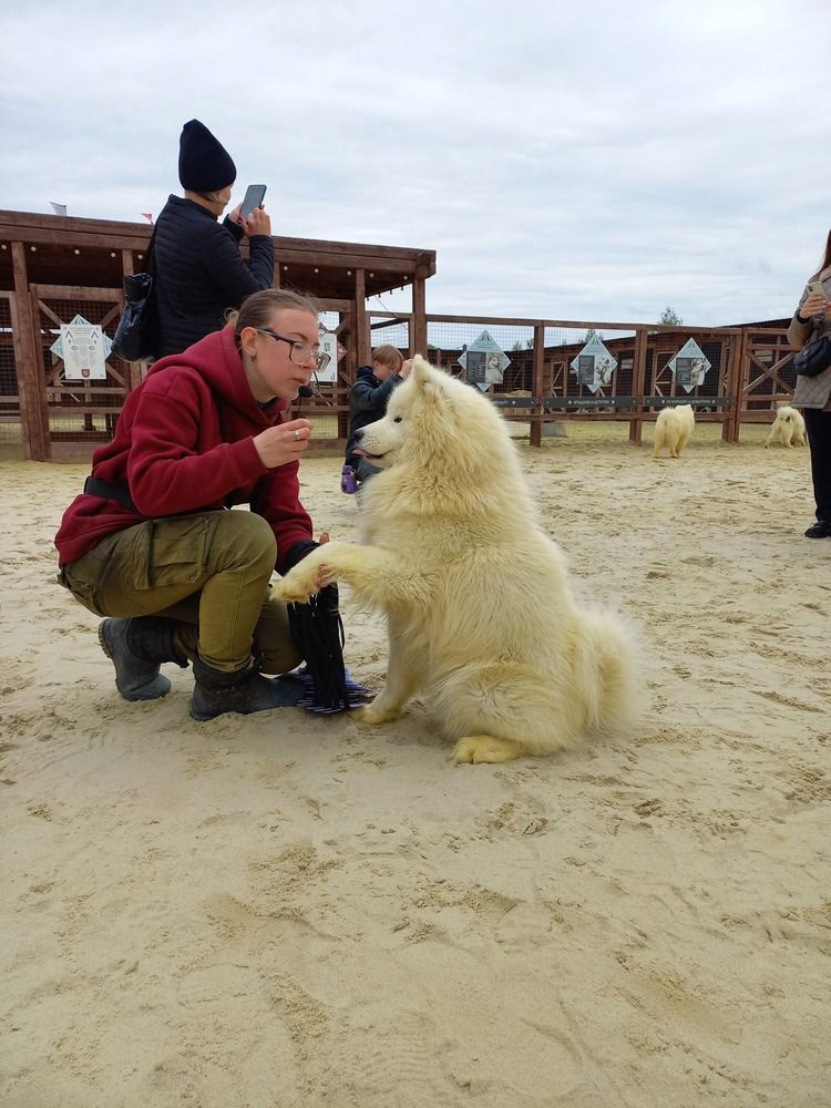 Photograph by Людмила Сотникова