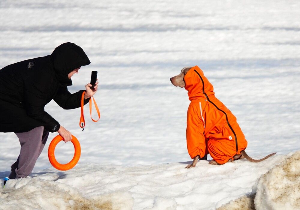 Photograph by Zakharov Matvey