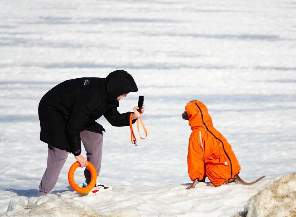 Photograph by Zakharov Matvey