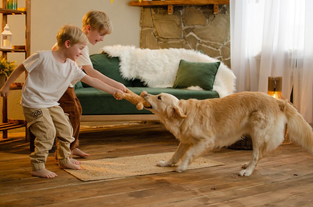 Photograph by Юлия Волгина