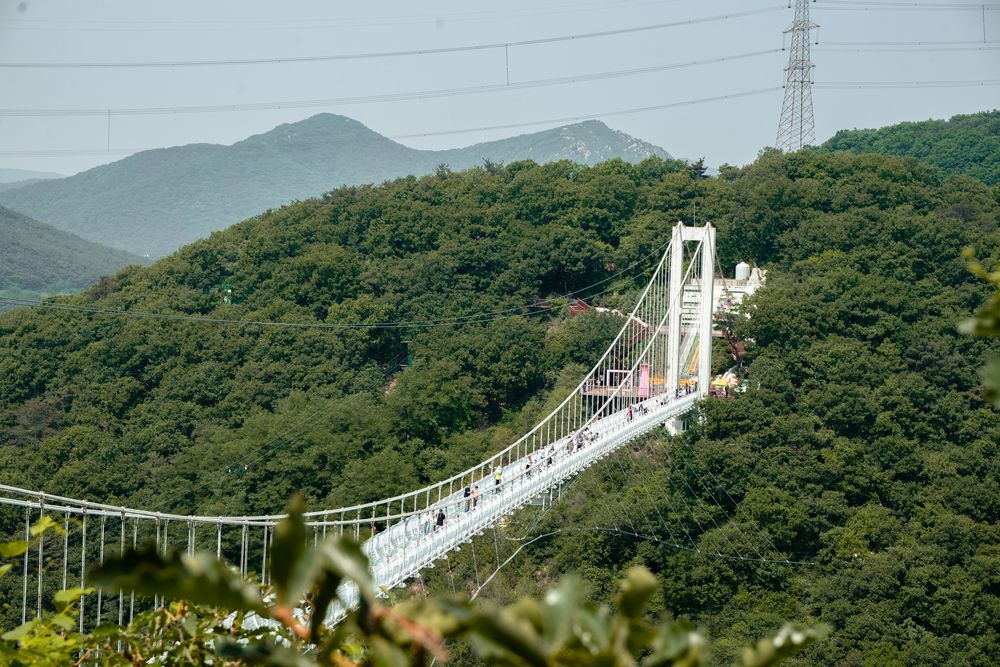 Фотография автора Василиса Новикова