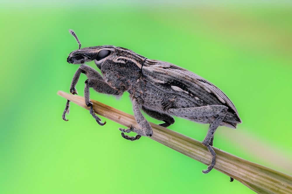 Photograph by Васильев Роман