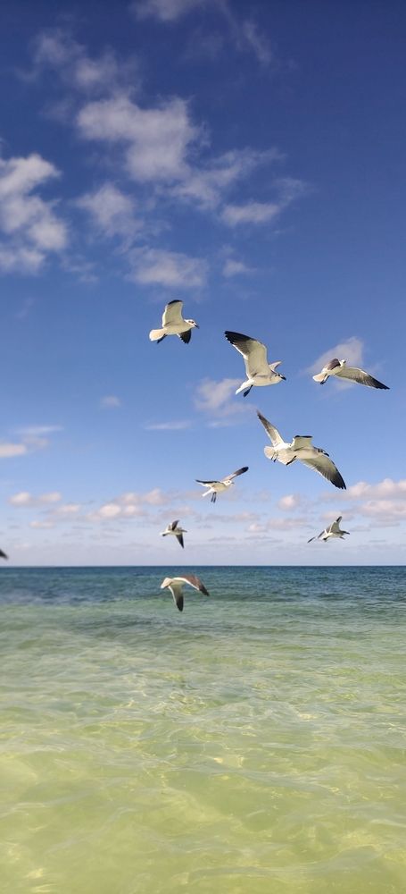 Photograph by Татьяна Нестерова