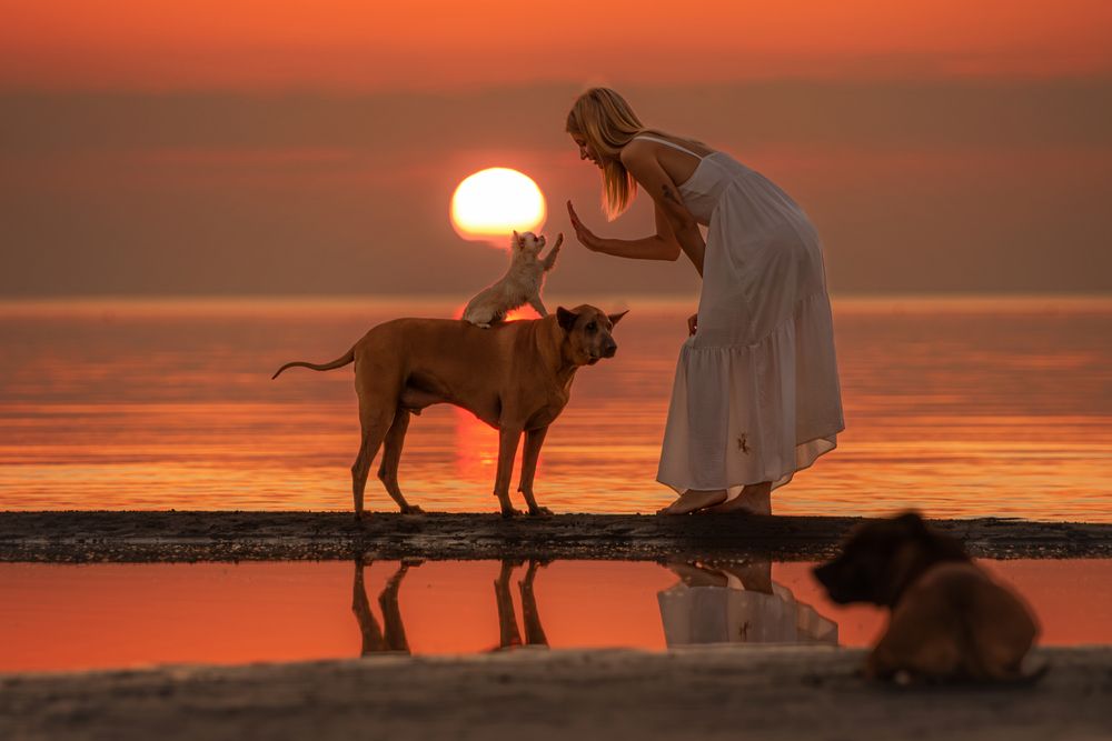 Photograph by Зубкова Юлия