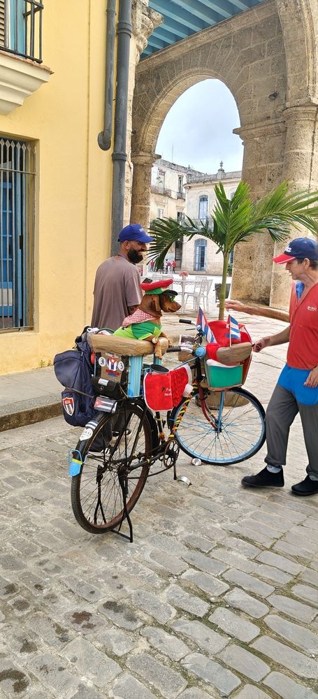 Photograph by Татьяна Нестерова