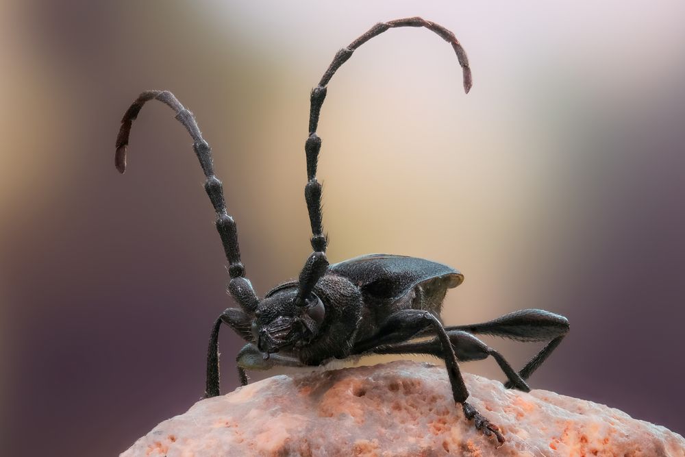 Photograph by Васильев Роман