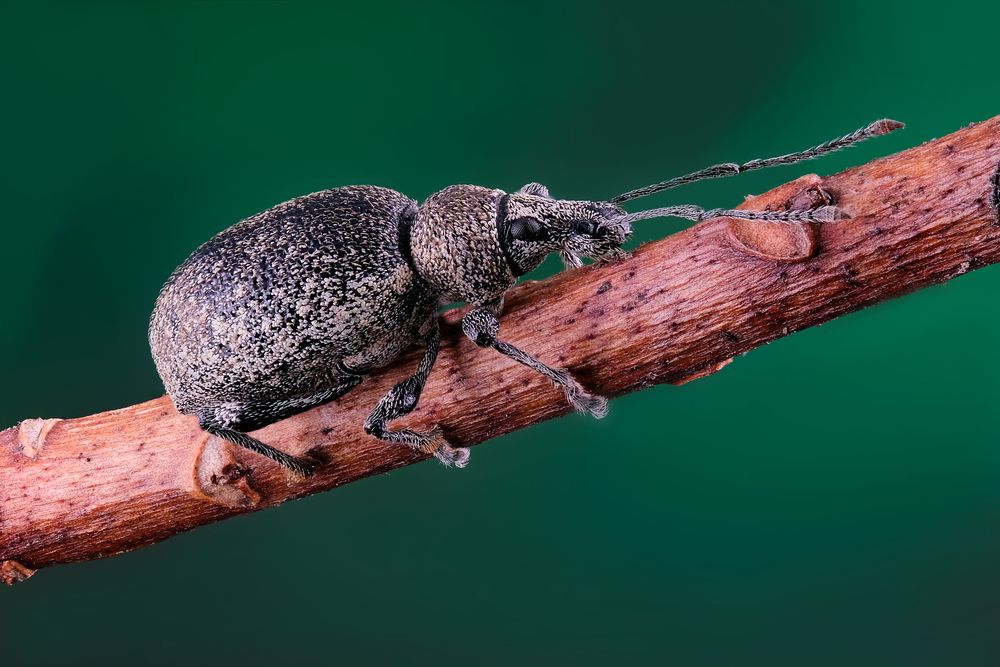 Photograph by Васильев Роман