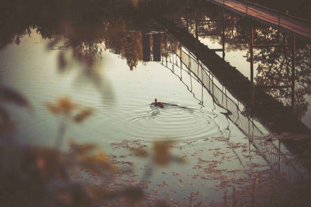 Photograph by Алексей Морозов