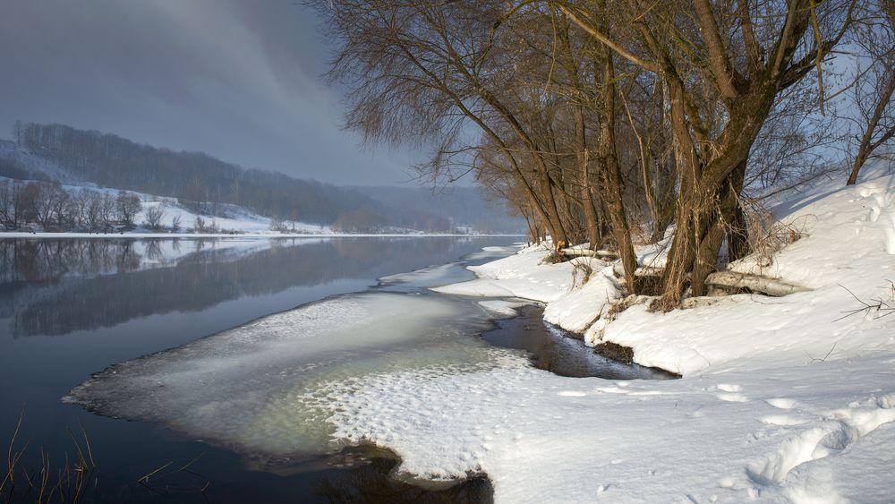 Photograph by Железнова Людмила