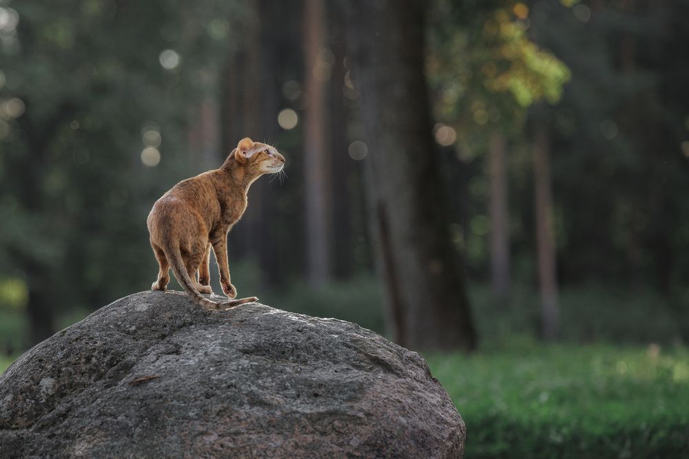 Photograph by Зубкова Юлия