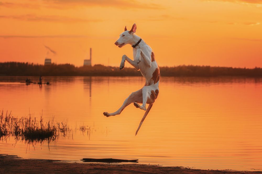 Photograph by Зубкова Юлия