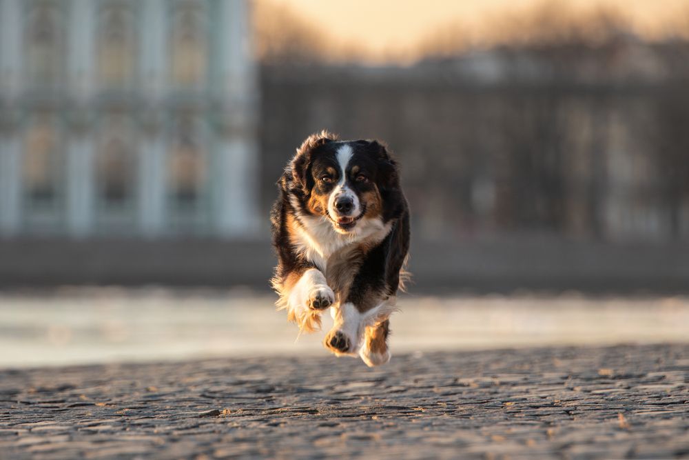 Photograph by Зубкова Юлия