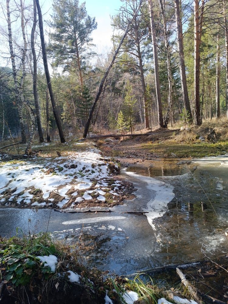 Фотография автора Луцук Мария