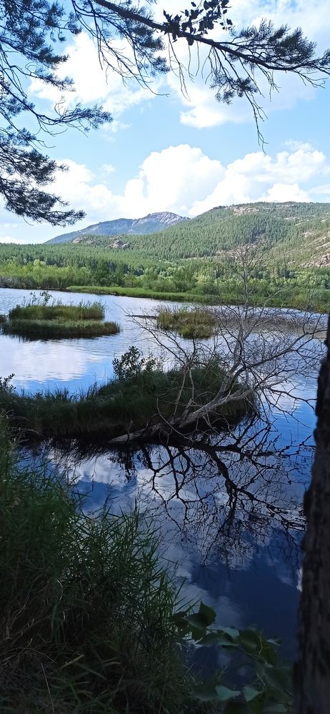 Фотография автора Луцук Мария