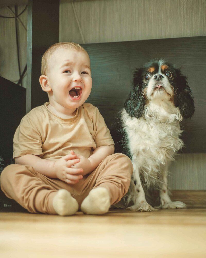 Photograph by Лариса Елисеева