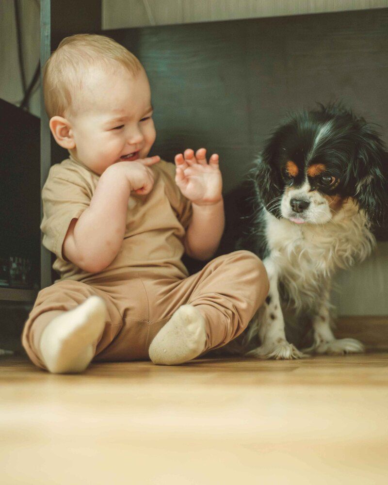 Photograph by Лариса Елисеева