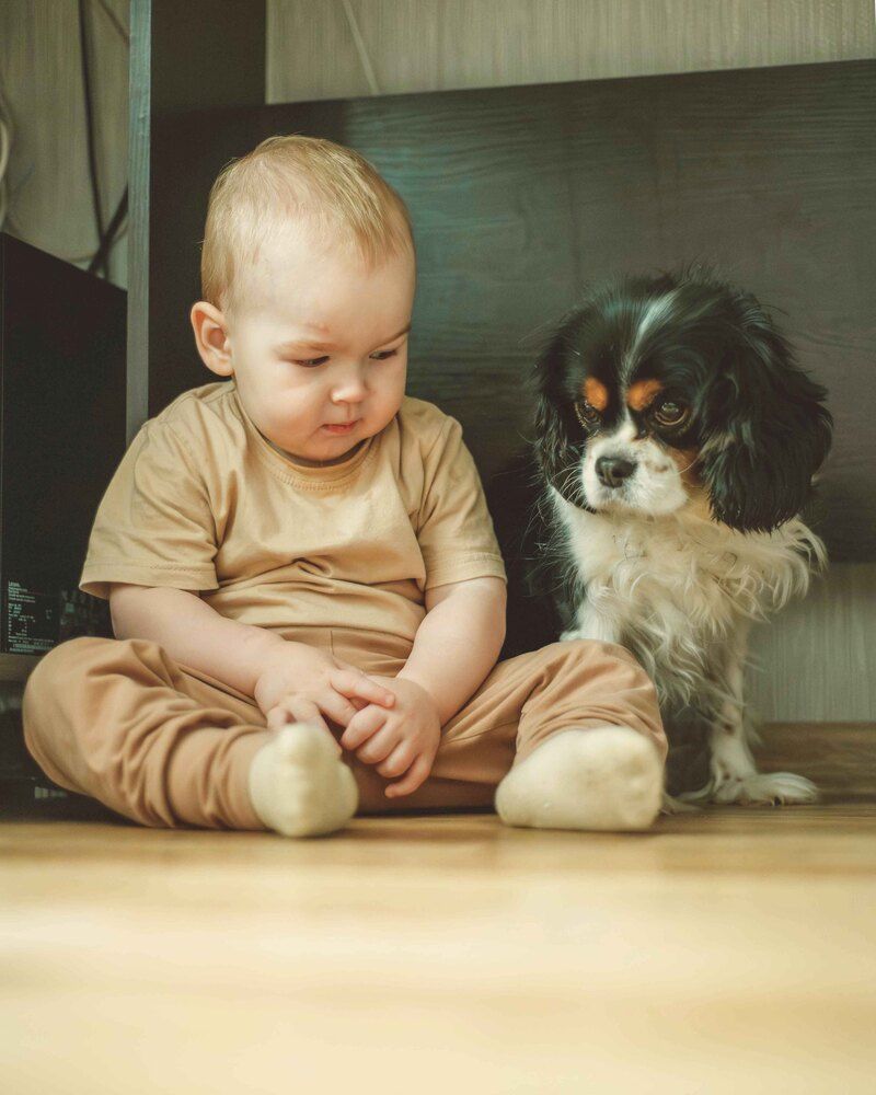 Photograph by Лариса Елисеева