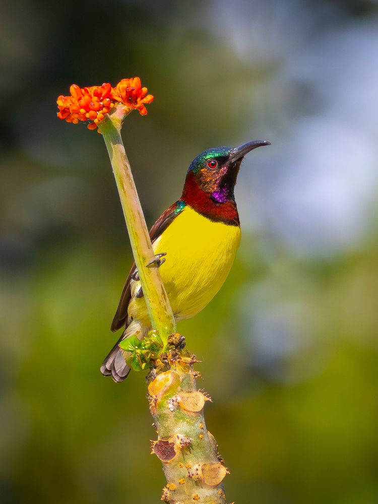 Photograph by RINI GHOSH