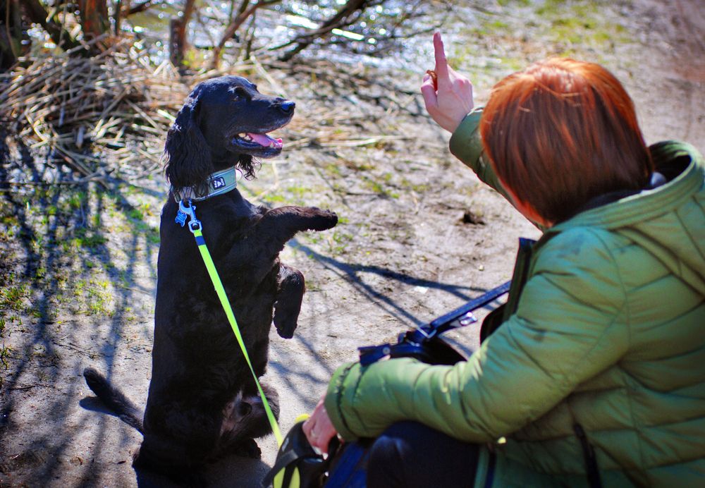 Фотография автора Анна Гаврилова