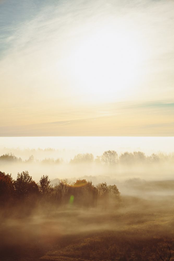 Photograph by Alex Orlov