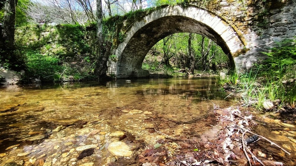 Photograph by axilleas kampouris