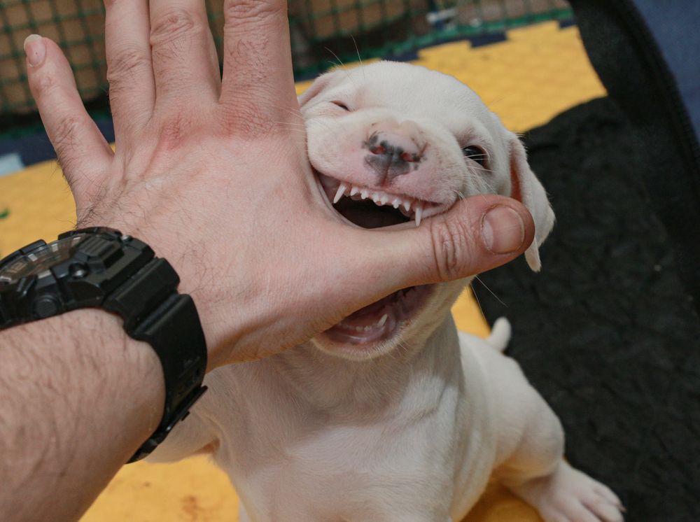 Photograph by Денис Квитчук