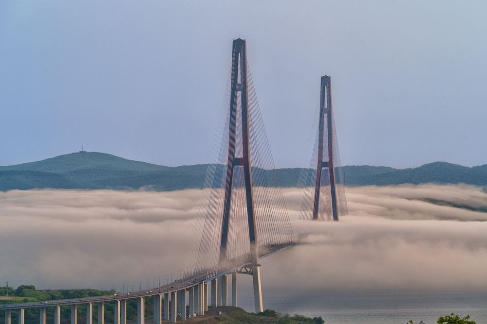 Фотография автора Лариса Дука
